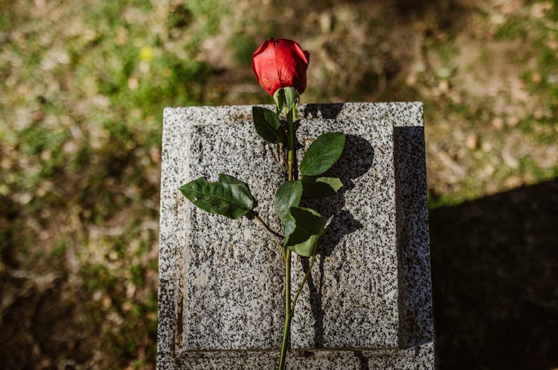 O que um plano funerário precisa ter?